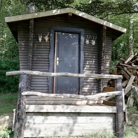 Holiday home Hunting Siedlinghausen 1