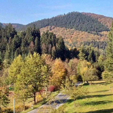 Feriehus Hunting Siedlinghausen 1 Winterberg